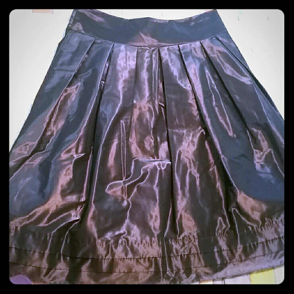 Iridescent Pleated Full Banana Republic Skirt